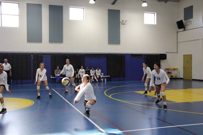 VolleyBall : Another Day, Another Game