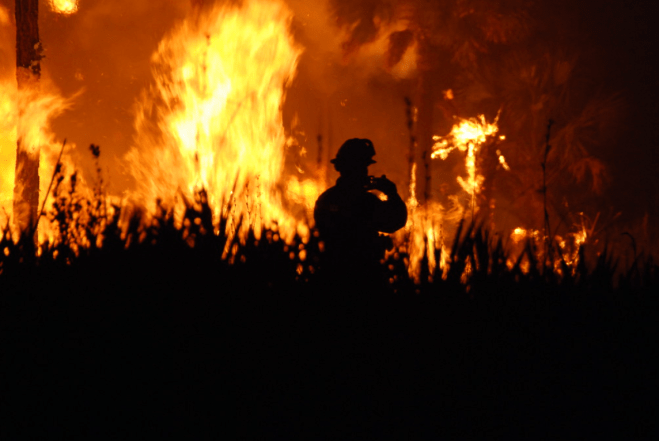 Efforts to Curb Wildfires: What You Need To Know
